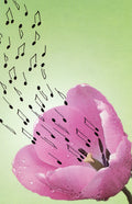Schaum Recital Programs (Blank) #58: Musical Tulip Cover Image