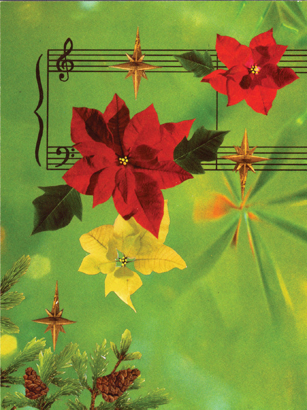 Greeting Cards: Poinsettias with Staff (Pack of 12) Cover Image