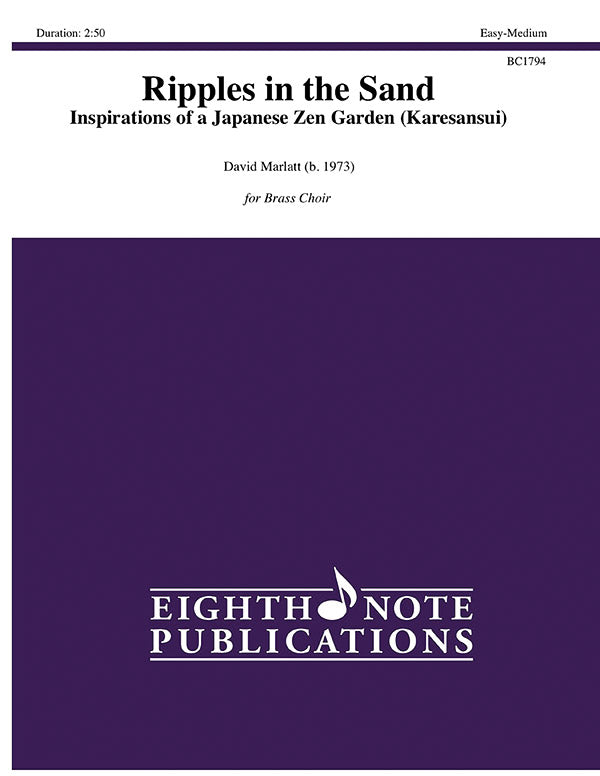Ripples in the Sand Cover Image
