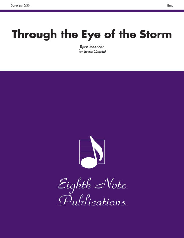 Through the Eye of the Storm Cover Image