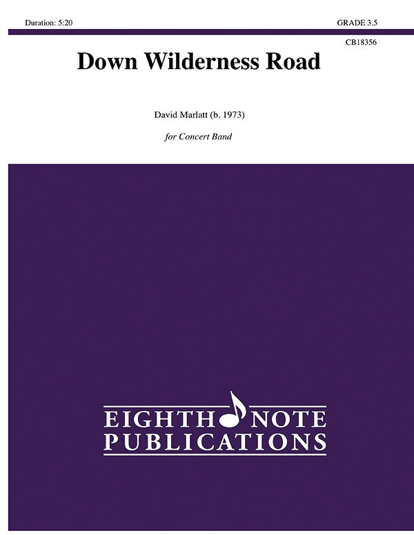 Down Wilderness Road Cover Image