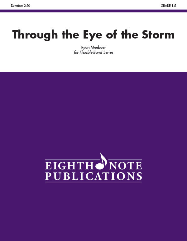 Through the Eye of the Storm Cover Image