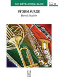 Storm Surge Cover Image