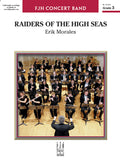Raiders of the High Seas Cover Image