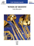 Winds of Destiny Cover Image