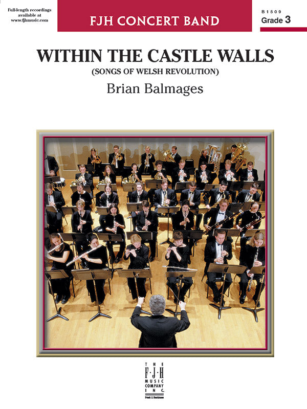 Within the Castle Walls Cover Image