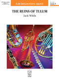 The Ruins of Tulum Cover Image