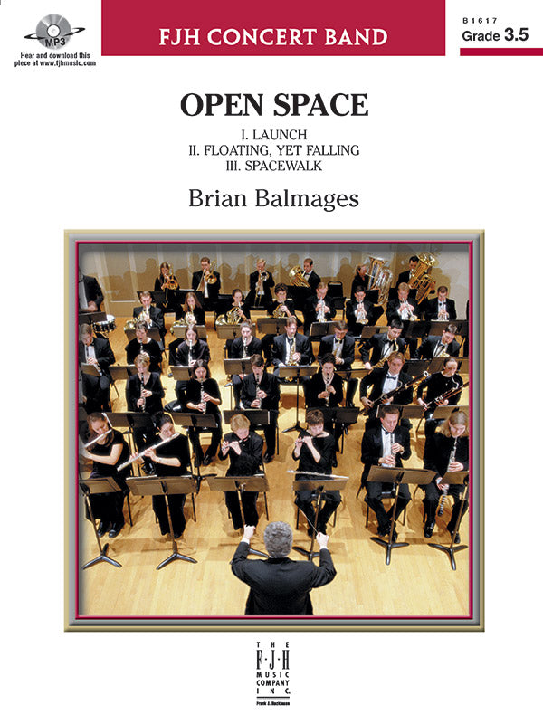 Open Space Cover Image