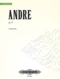 iv 1 Cover Image