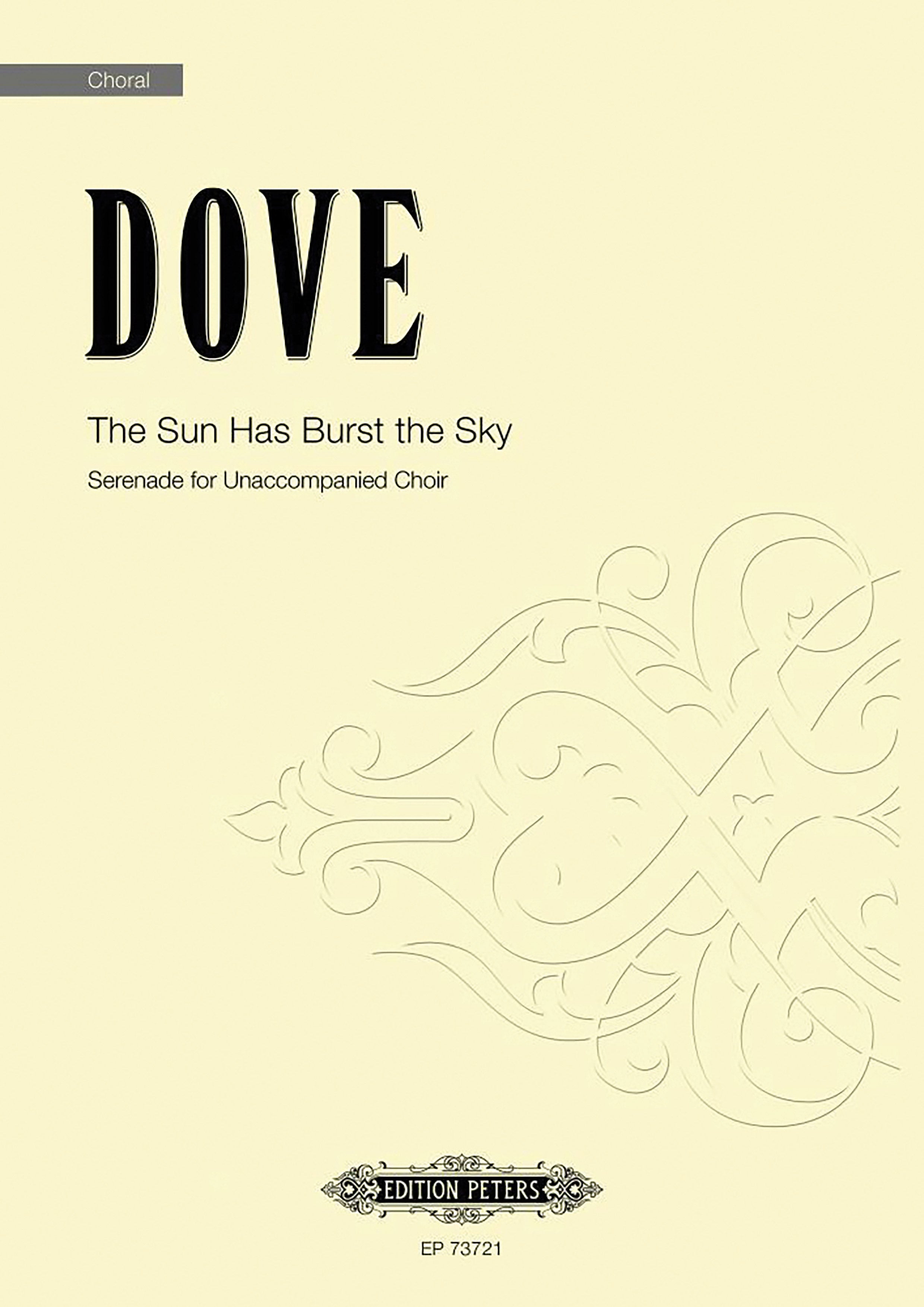 The Sun Has Burst the Sky Cover Image