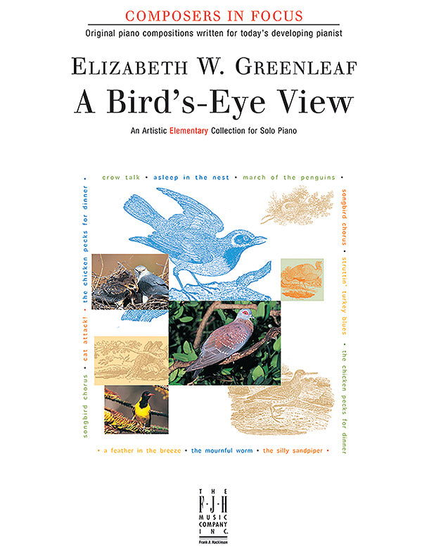 A Bird's-Eye View Cover Image