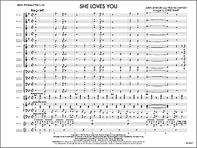 She Loves You Cover Image