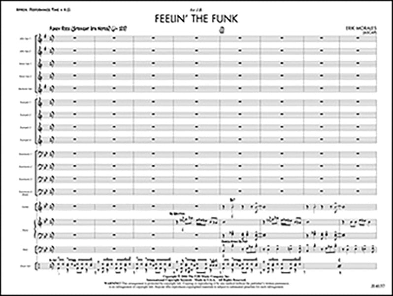 Feelin' the Funk Cover Image