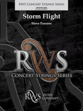 Storm Flight Cover Image