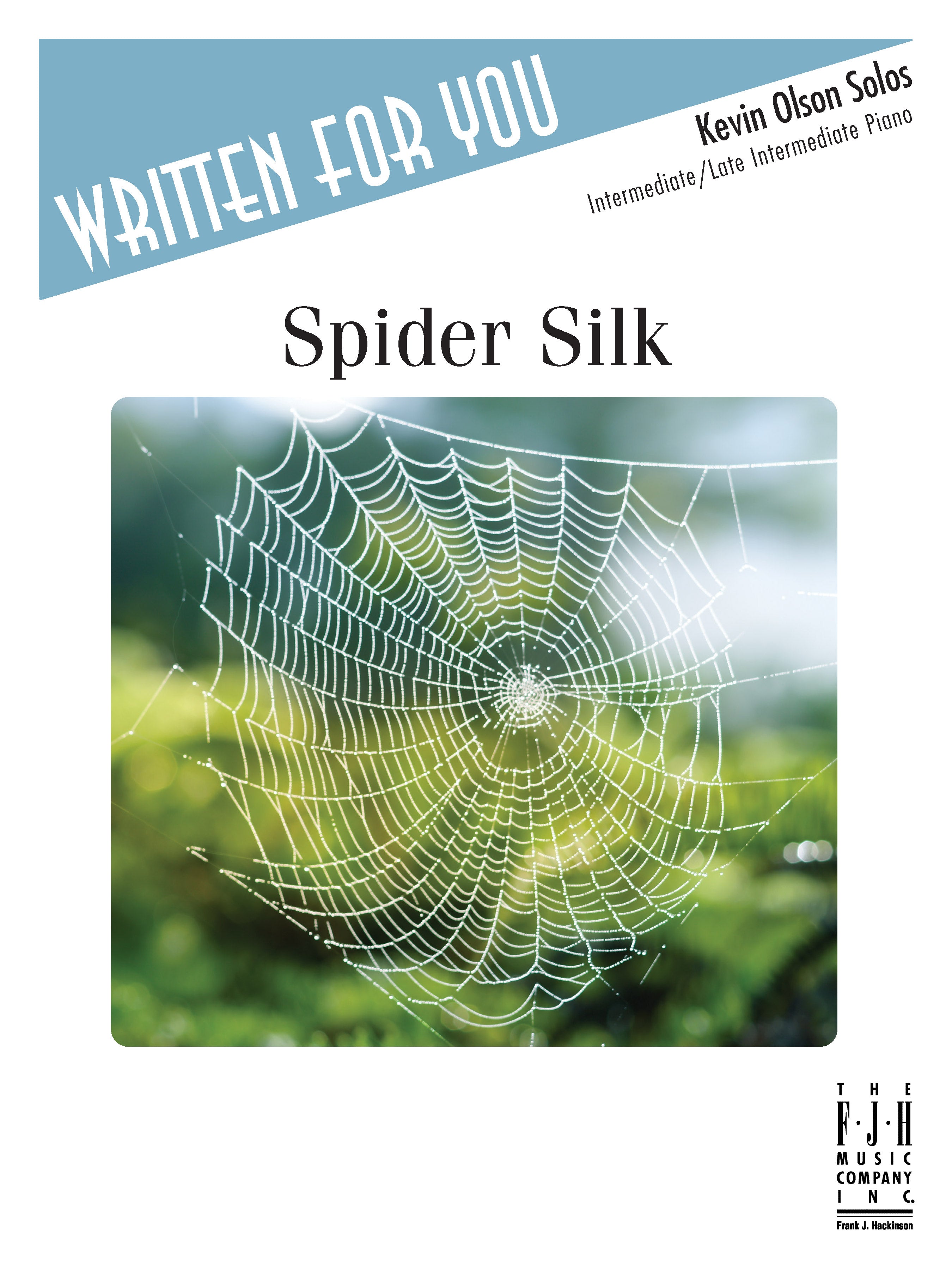 Spider Silk Cover Image