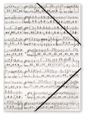 File with Elastic Band: Strauss Cover Image
